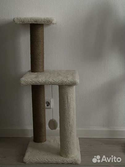 Когтеточка для кошки new