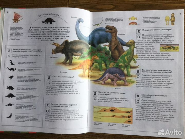 Энциклопедия для детей