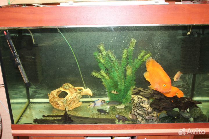 Продам аквариум