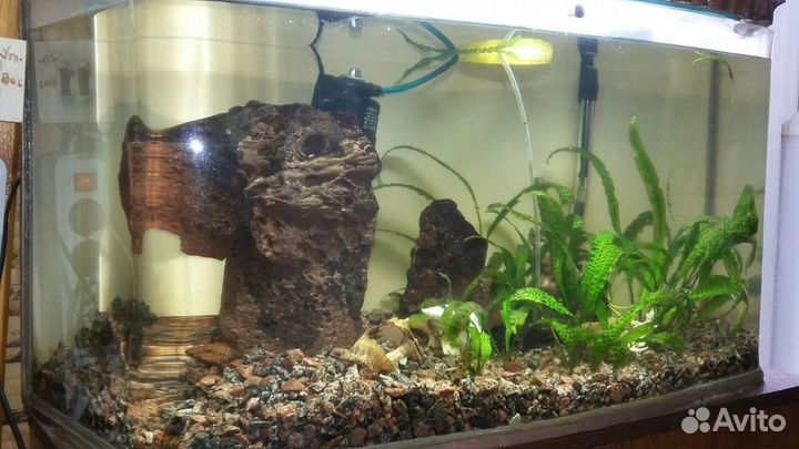 Аквариум