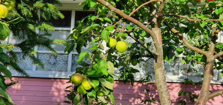 Дом 47,4 м² на участке 13,1 сот.