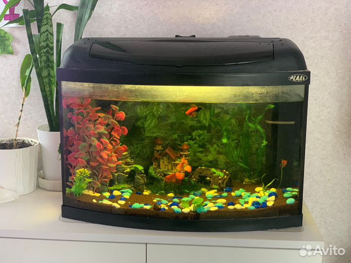 Аквариум