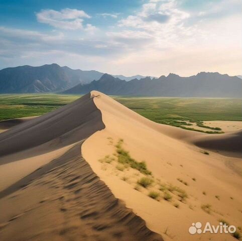 Тур Дагестан Гид Сулакский каньон Гамсутль Дербент объявление продам