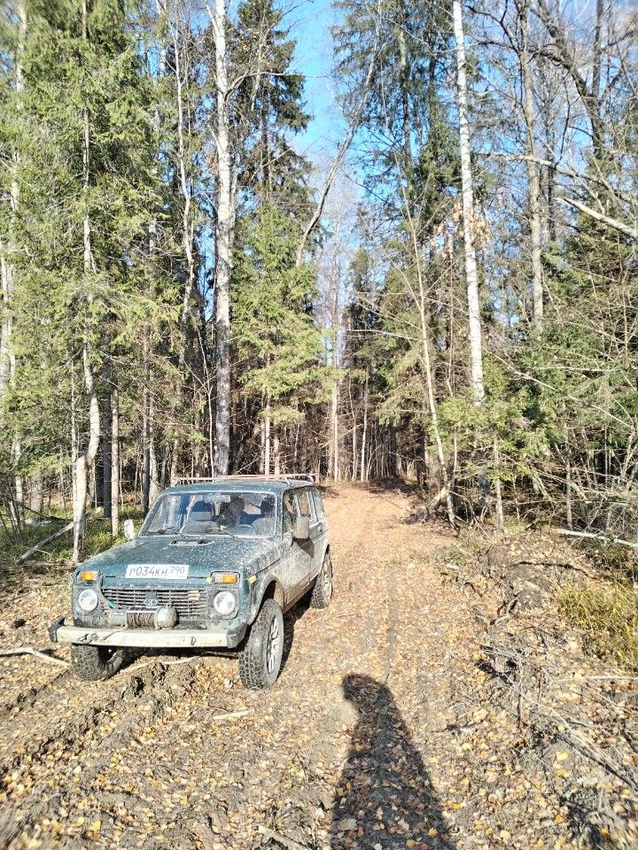 ВАЗ (LADA) 4x4 (Нива): фото владельца