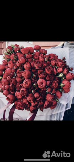 Кустовые розы