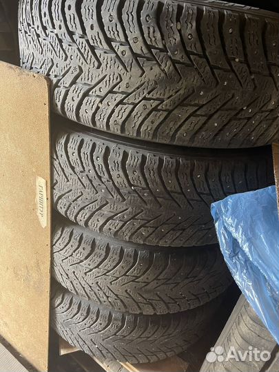 Nokian Tyres Hakkapeliitta 8 195/65 R15