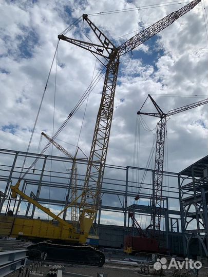 Услуги аренды крана 100 тонн