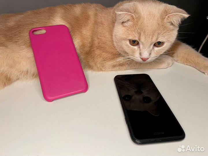 Телефон iPhone 7