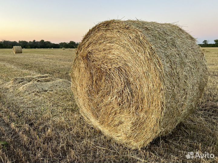 Солома, сено