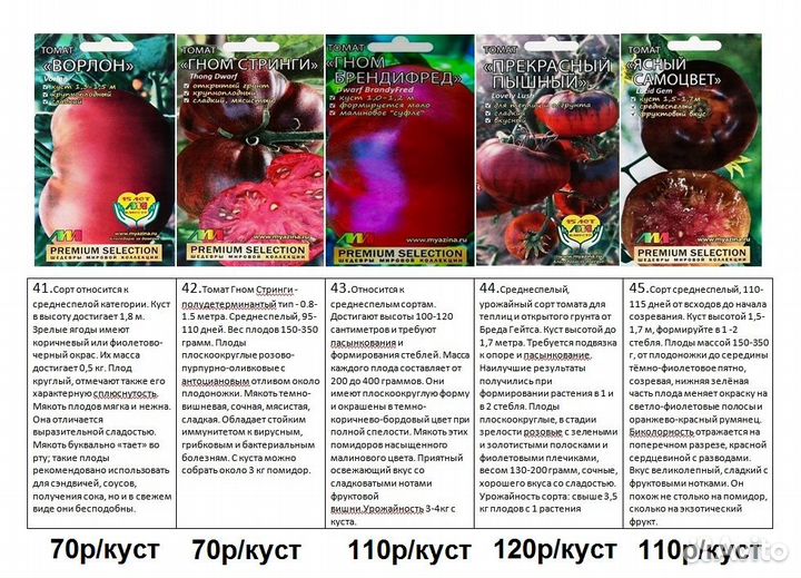 Рассада помидор томатов среднерослых,полудетерм