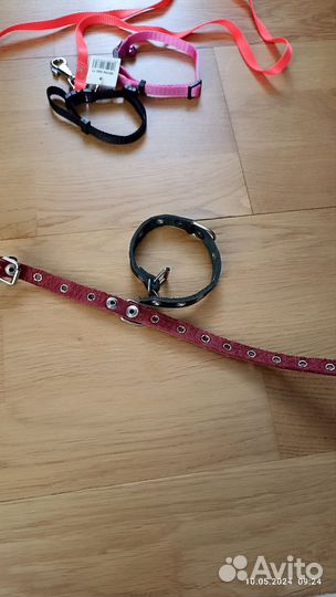 Ошейник для маленькой собаки