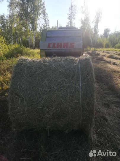Сено в рулонах 2024