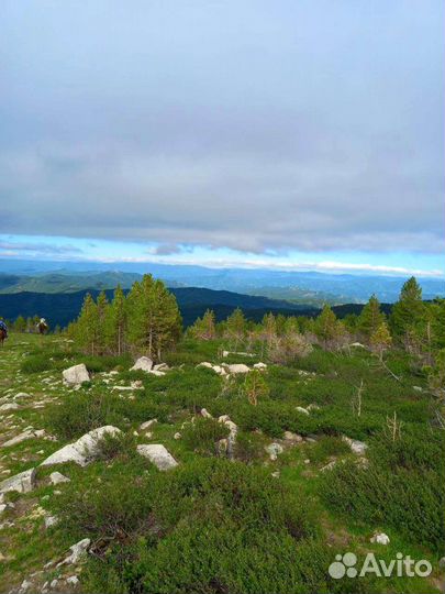 Туры по Алтаю 