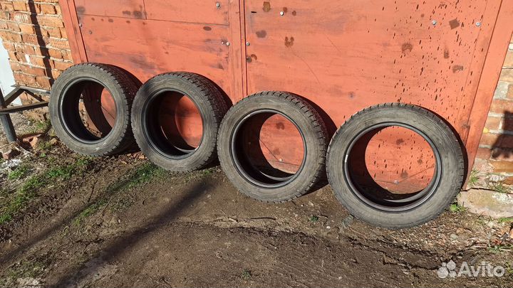 Dunlop SP Winter Maxx WM01 205/55 R16 94