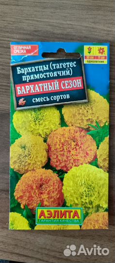 Рассада цветов бархатцы