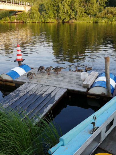 Дом 100 м² на участке 27 сот.