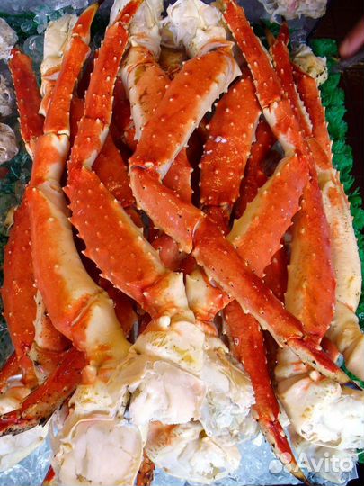 Рыба и морепродукты