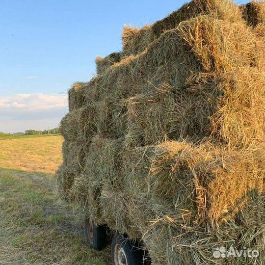 Сено, солома в тюках
