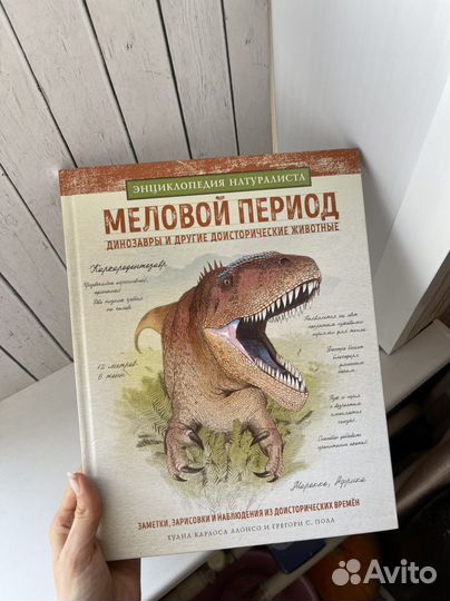 Книга Меловой период. Динозавры
