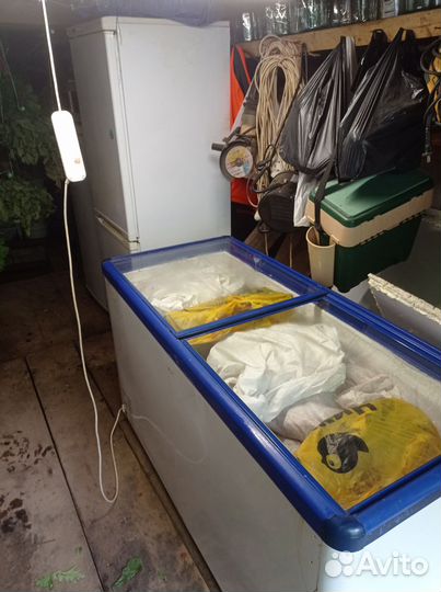 Свежая речная рыба