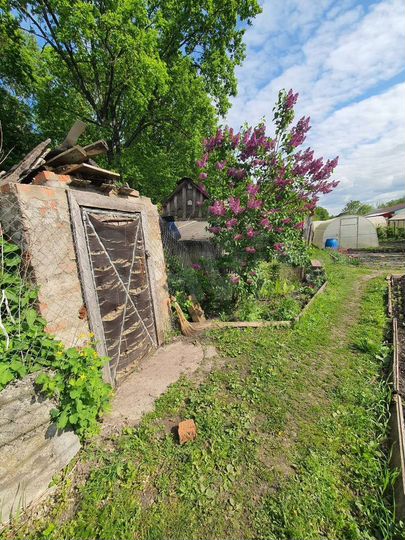 Дом 56,9 м² на участке 17,5 сот.