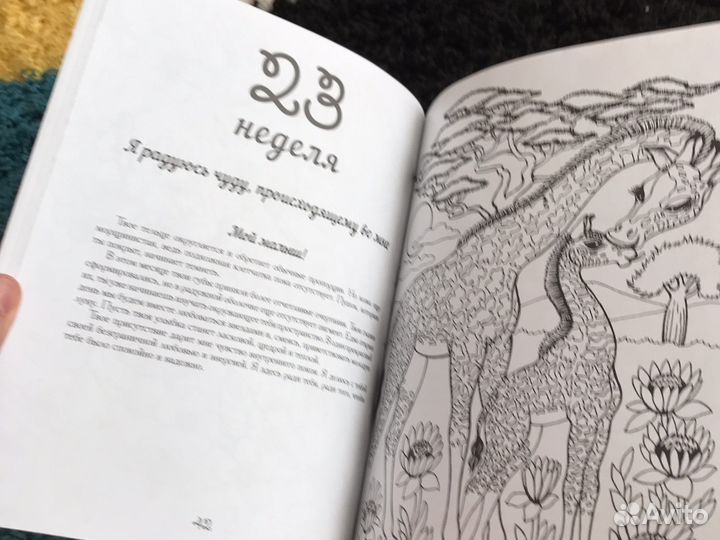 Яркие месяцы моей беременности