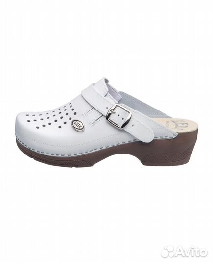 Сабо анатомические