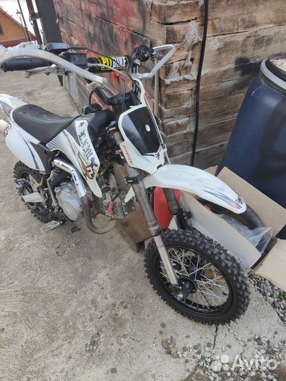 Pitster pro 125