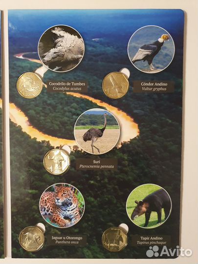 Набор монет Красная книга Перу