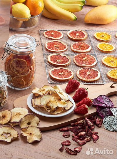 Дегидратор Kocateq dhfd16