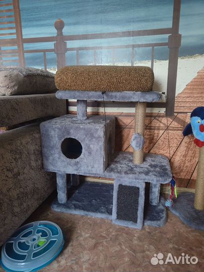 Домик для кошки