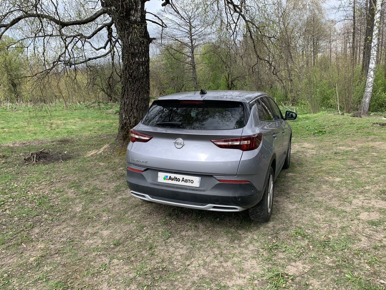 Opel Grandland X: фото из отзыва