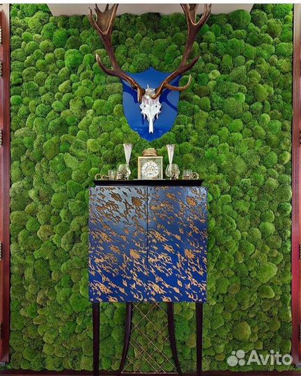 Мох стабилизированный