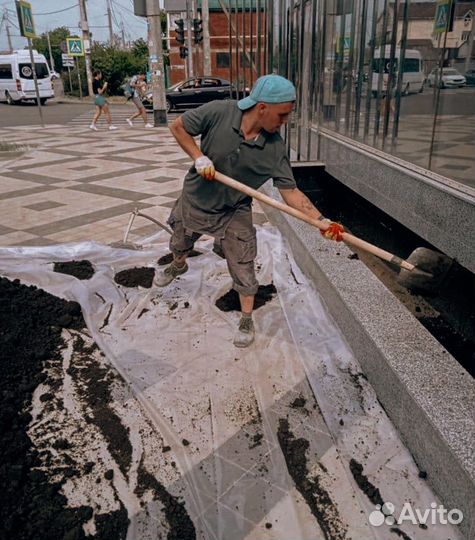 Разнорабочие