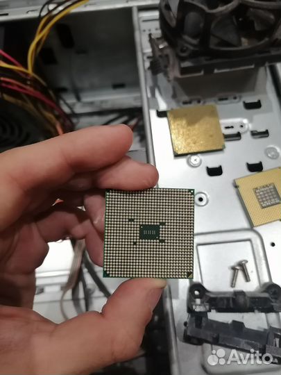 Процессоры amd и Intel