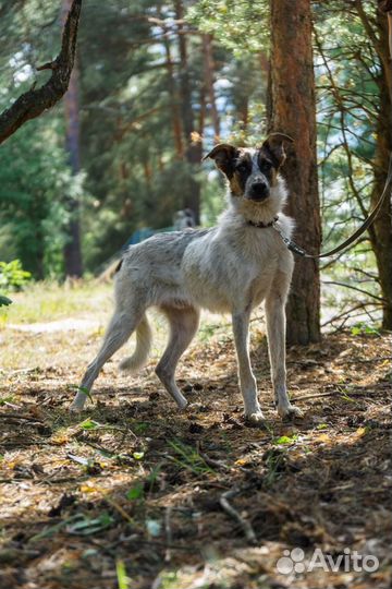 Я-Мартин и у меня спортиная фигура