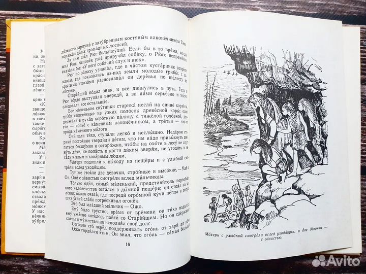Д Эрвильи Э. Приключения доисторического мальчика