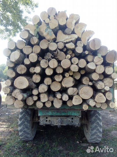 Дрова дуб, граб, ясень