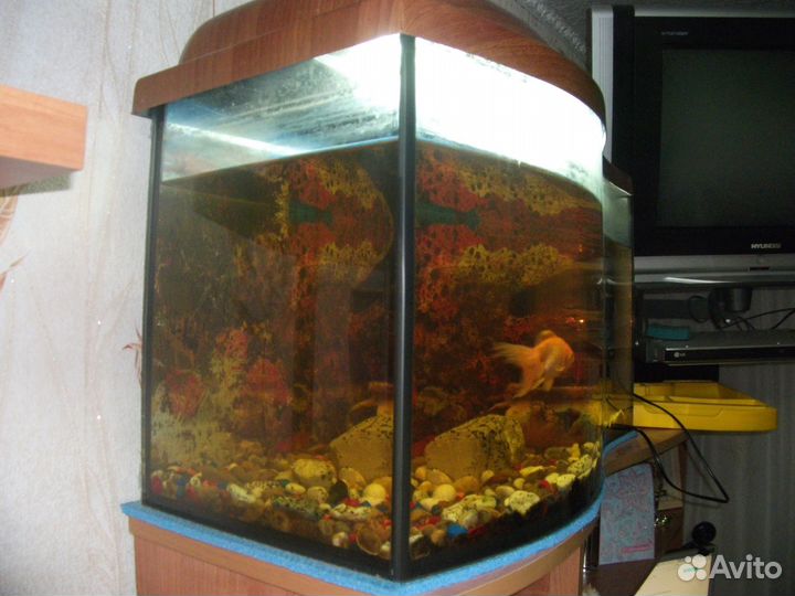 Аквариум