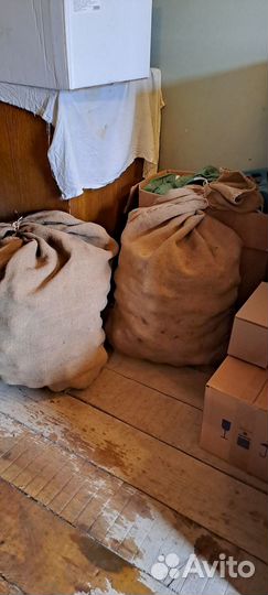 Продам картофель