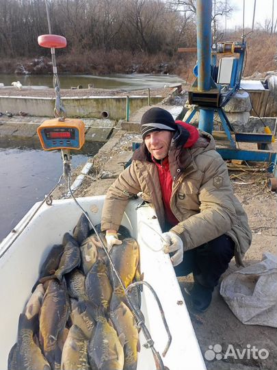 Продам свежую рыбу