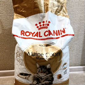 Корм для кошек Royal Canin Mэйн Кун