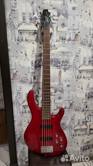 Бас гитара 5 струн