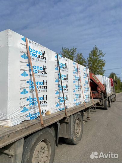 Газоблок 250 300