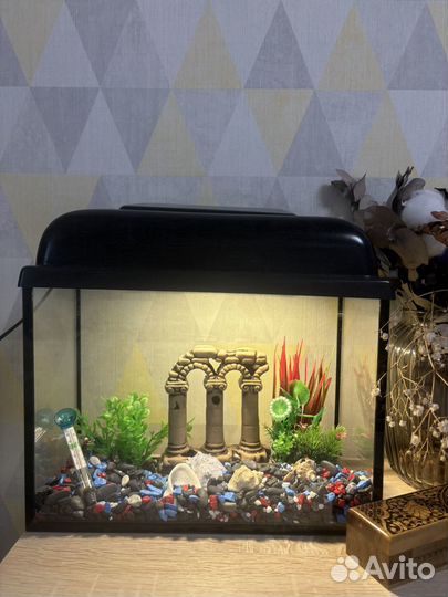 Аквариум