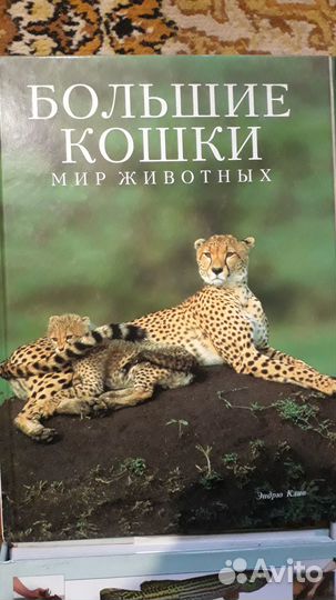 Книжные коллекционные издания