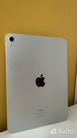 iPad