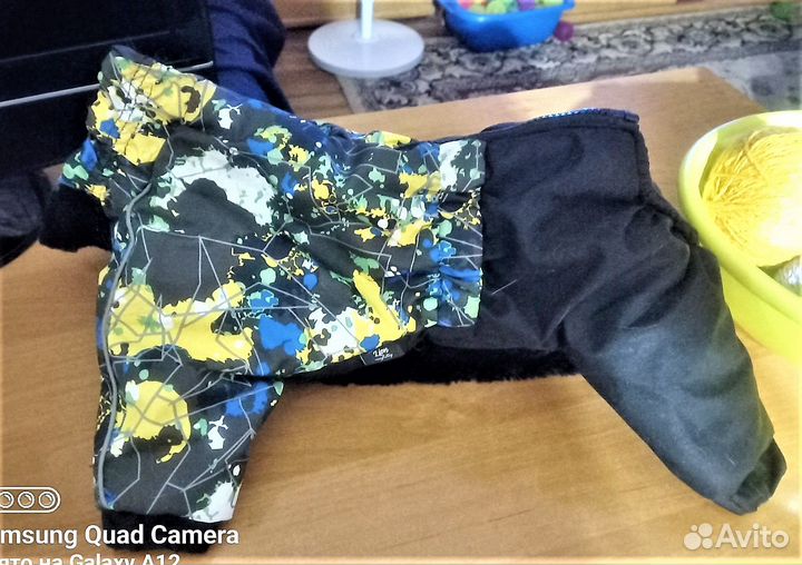 Одежда для собак