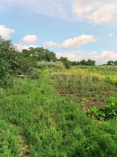 Дом 70 м² на участке 14 сот.