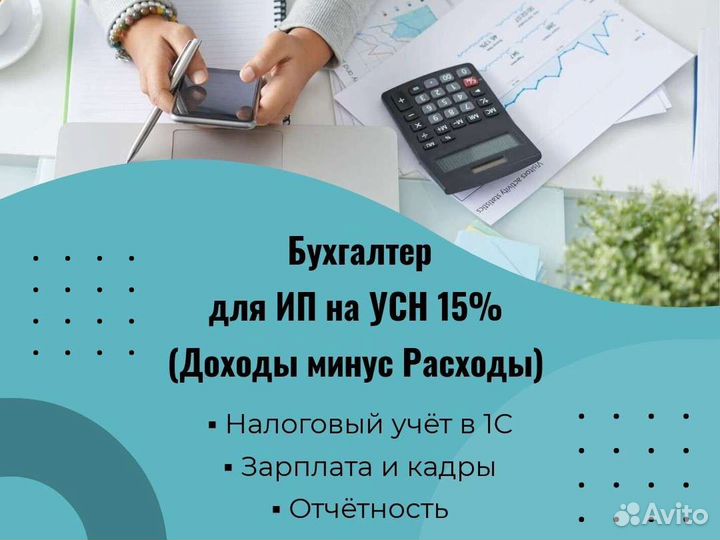 Ведение бухгалтерии ип усн 15